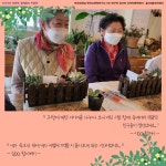 연구소 활동 | 연구소활동 읽기(2022 『꽃 청춘, 노인을 위한 나라』 2차(2022. 10. 06.))