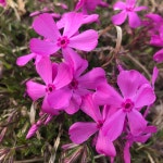 2020년 전주대의 봄~ | 전주대학교 부동산국토정보학과