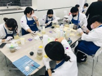 드림팀 디저트 교육 | 한식조리학과