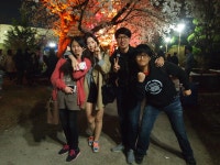 [ 2014 애플축제 ] | 전주대학교 행정학과