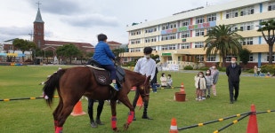 보도자료 > 한천초병설유치원, 찾아오는 말 체험학습 실시 | 제주교육소식