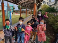 보도자료 > 물메초병설유치원, 유치원 텃밭에서 기른 고구마를 수확했어요! | 제주교육소식