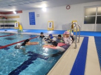 보도자료 > 신제주초, 겨울방학 건강 UP! 체력 UP! 수영 교실 운영 | 제주교육소식