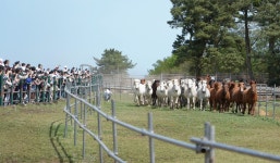 보도자료 > 김광수 제주특별자치도 교육감 동정 | 제주교육소식