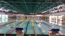 교육청소식 > 교육지원청 > 서귀포 학생수영대회, 지역과 협업으로 성황리 마무리 | 제주교육소식