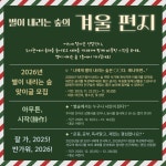 교육청소식 > 전체 > 별이 내리는 숲에서 연말의 특별한 추억을 나누다 | 제주교육소식