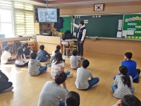 학교소식 > 유치원/초등학교 > 표선초, 창의적인 생각에 날개를 달자 | 제주교육소식