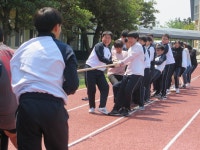 학교소식 > 중학교 > 위미중, 사제동행 미니올림픽 개최 | 제주교육소식
