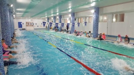 학교소식 > 유치원/초등학교 > 봉개초, 3,5학년 생존수영교실 실시 | 제주교육소식