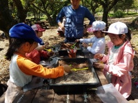 학교소식 > 유치원/초등학교 > 서귀중앙초, 상효원에 다녀왔어요 | 제주교육소식