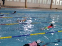 학교소식 > 유치원/초등학교 > 위미초, 생명을 살리는 생존수영교실 운영 | 제주교육소식