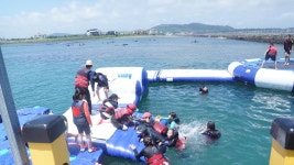 학교소식 > 전체 > 성산초, 와~여름이다! 바다속으로 풍덩~ 바다체험의 날 운영 | 제주교육소식