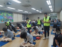 학교소식 > 전체 > 노형초, 교직원 심폐소생술 교육 실시 | 제주교육소식