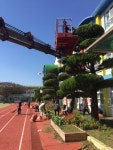 학교소식 > 전체 > 조천초, 학부모 조경수 전정 | 제주교육소식