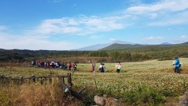 학교소식 > 전체 > 서귀중앙초, 학부모․자녀와 함께 하는 숲길 걷기 행사 실시 | 제주교육소식
