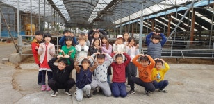 학교소식 > 유치원/초등학교 > 더럭초, 3-4학년 홍스랜드 현장학습 실시 | 제주교육소식