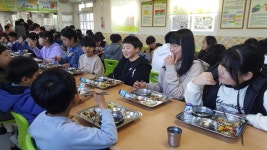 학교소식 > 전체 > 종달초, 매주 수요일 무학년 급식의 날 운영 | 제주교육소식