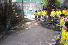 학교소식 > 유치원/초등학교 > 신광초유, 한림공원 현장체험학습 실시 | 제주교육소식