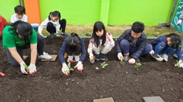 학교소식 > 유치원/초등학교 > 하례초, 봄내음을 활짝 피게한 우리 학교 텃밭 | 제주교육소식