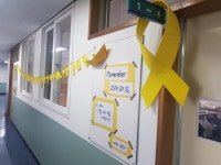 학교소식 > 중학교 > 신성여중, 세월호 5주기 추모 행사 | 제주교육소식