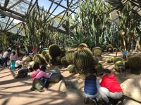 학교소식 > 유치원/초등학교 > 보성초, 유, 1~2학년 현장체험학습(여미지 식물원) 실시 | 제주교육소식