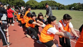 학교소식 > 유치원/초등학교 > 성읍초, 교육가족이 다함께 행복한 ‘정의골드림페스티벌’ ＆ ‘성읍한마당축제’ | 제주교육소식