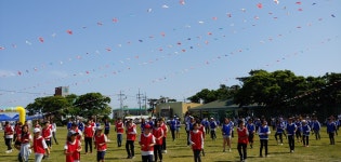학교소식 > 유치원/초등학교 > 구엄초, 모진드르 한마당 축제 열다. | 제주교육소식