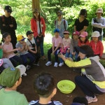 학교소식 > 유치원/초등학교 > 효돈초, 효돈가족 소통을 위한 힐링생태숲 실시 | 제주교육소식