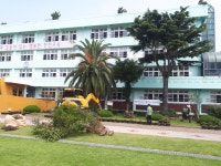 학교소식 > 유치원/초등학교 > 한천초, 제주에너지공사와 (사)제주생명의숲국민운동과 협력하여 숲동산 조성사업 추진 | 제주교육소식