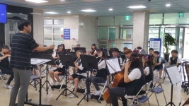 학교소식 > 유치원/초등학교 > 삼화초, ‘삼화오케스트라 아침 등굣길 음악회’실시 | 제주교육소식