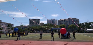 학교소식 > 유치원/초등학교 > 신촌초,「2019 어우렁 더우렁 한마당 큰잔치」열려 | 제주교육소식
