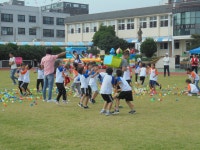 학교소식 > 유치원/초등학교 > 효돈초, 2019 효돈 꿈키움 한마당 열려 | 제주교육소식