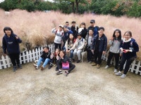 학교소식 > 유치원/초등학교 | 제주교육소식