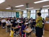 학교소식 > 유치원/초등학교 > 광양초, 애니어그램 심리역동검사 및 학습태도검사 실시 | 제주교육소식