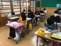 학교소식 > 유치원/초등학교 > 교과서 밖 과학탐구, 서귀북초 교내 과학탐구대회 개최 | 제주교육소식