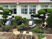 학교소식 > 유치원/초등학교 > 한림초, 교내 화단 정비 활동 실시 | 제주교육소식
