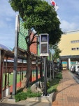 학교소식 > 유치원/초등학교 > 신광초, 미세먼지 측정기로 건강을 지키는 신광초 | 제주교육소식
