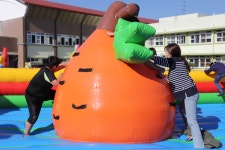 학교소식 > 특수학교 > 제주영지학교, 전교생 대상 에어바운스 체험 활동 실시 | 제주교육소식