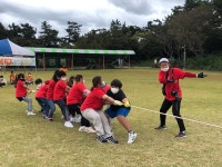 학교소식 > 유치원/초등학교 > 하도초, 학생다모임이 주관한 하도스포츠데이 실시 | 제주교육소식