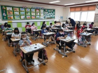 학교소식 > 유치원/초등학교 > 봉개초, 제주이해교육 실시 | 제주교육소식