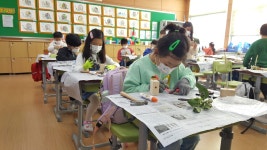 학교소식 > 유치원/초등학교 > 조천초, 진로체험활동을 위한 조천행복드림(Dream) 페스티벌 운영 | 제주교육소식