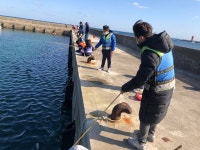 학교소식 > 유치원/초등학교 > 하도초, 3~4학년 해양생태체험 고망낚시 실시 | 제주교육소식