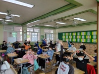 학교소식 > 유치원/초등학교 > 제주서초, 3,5학년 4·3 평화·인권교육 교내체험학습 실시 | 제주교육소식