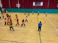 학교소식 > 유치원/초등학교 > 함덕초, 스포츠클럽데이 운영 | 제주교육소식