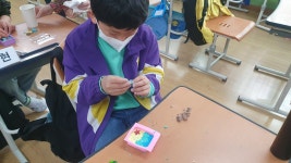 학교소식 > 유치원/초등학교 > 도남초, 아름다운 나, 함께 하는 우리 5학년 인성수련 프로그램 실시 | 제주교육소식