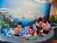 학교소식 > 유치원/초등학교 > 위미초병설유치원, 연합체험학습 실시 | 제주교육소식