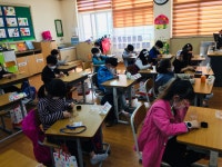 학교소식 > 유치원/초등학교 | 제주교육소식