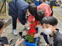 학교소식 > 유치원/초등학교 > 삼화초, 코로나 블루를 이기는 희망의 꽃 심기 실시 | 제주교육소식