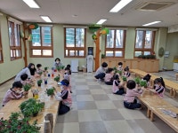 학교소식 > 유치원/초등학교 > 위미초병설유치원, 제주유아교육진흥원 연합현장체험학습 실시 | 제주교육소식