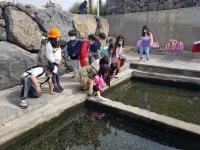 학교소식 > 유치원/초등학교 > 대정서초, 2학년 생태체험학습 실시 | 제주교육소식